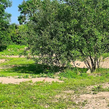 Mo's Loft At Platform's End 던가반