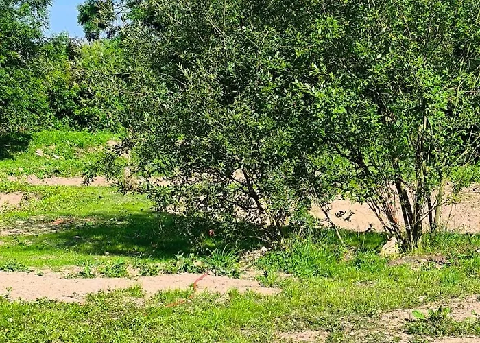 Mo's Loft At Platform's End Dungarvan (Waterford)